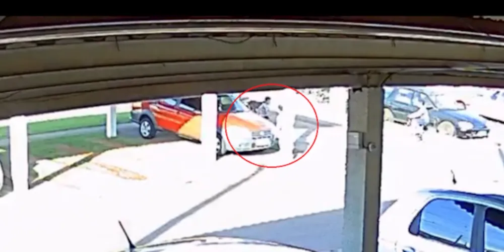 Cão correu atrás da criança, até a chegada do tutor do animal