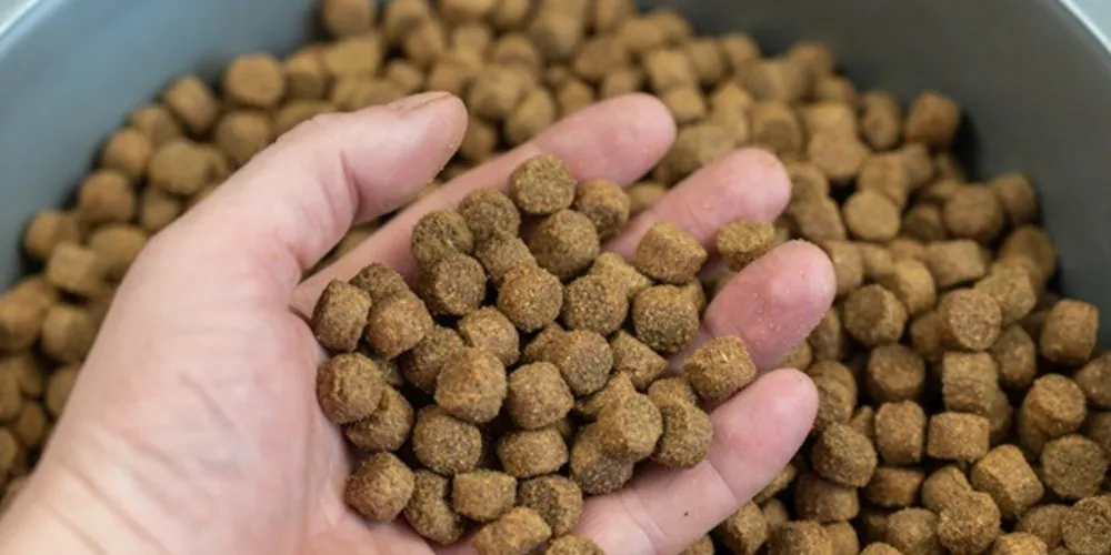 Autor ofereceu pacote de ração a pelo menos quatro mulheres