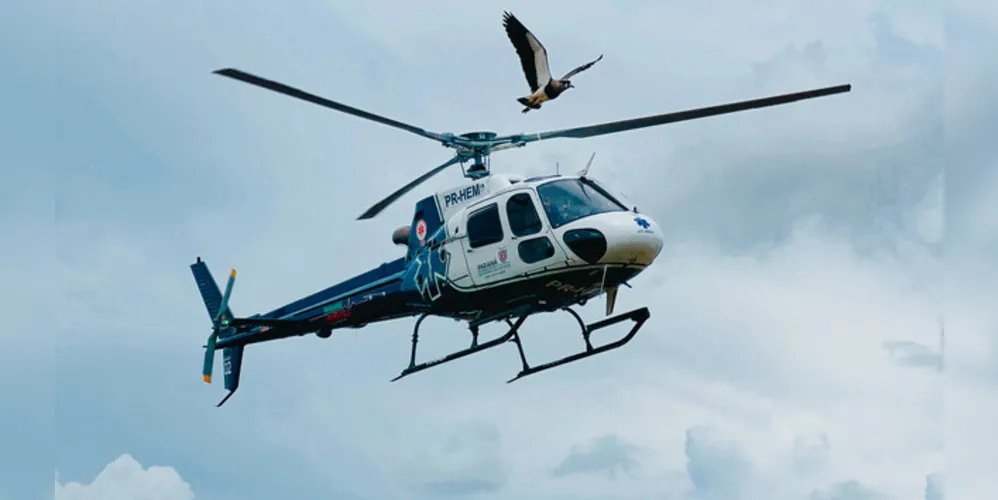 O Corpo de Bombeiros, ambulância e aeronave do Samu foram acionados para prestar atendimento