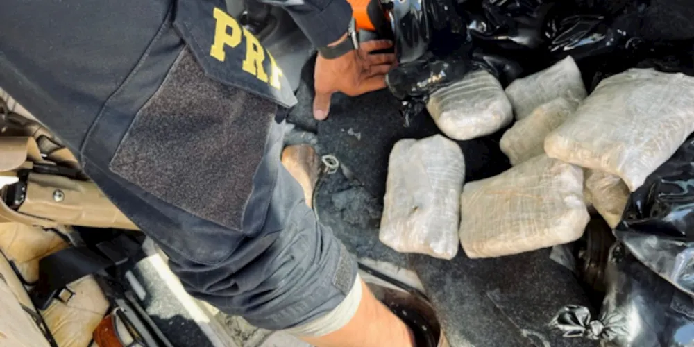 Apreensão aconteceu nesta quarta-feira (27), na BR-277