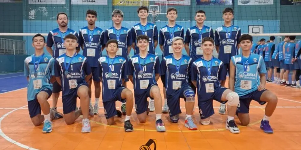 Associação de Voleibol Vila Velha (AVV)