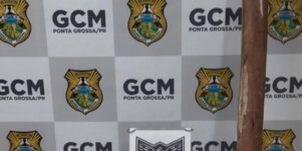 A mulher teve lesões no braço e também na perna