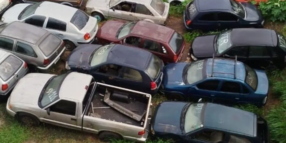 Nesta quinta-feira (07) equipes do setor de Zoonoses da Prefeitura, junto com a Vigilância Sanitária, fariam mais uma vistoria no local