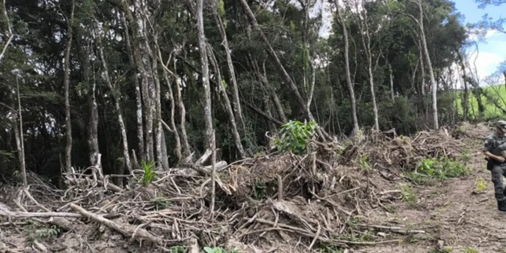 O proprietário não possuía autorização ambiental e foi autuado