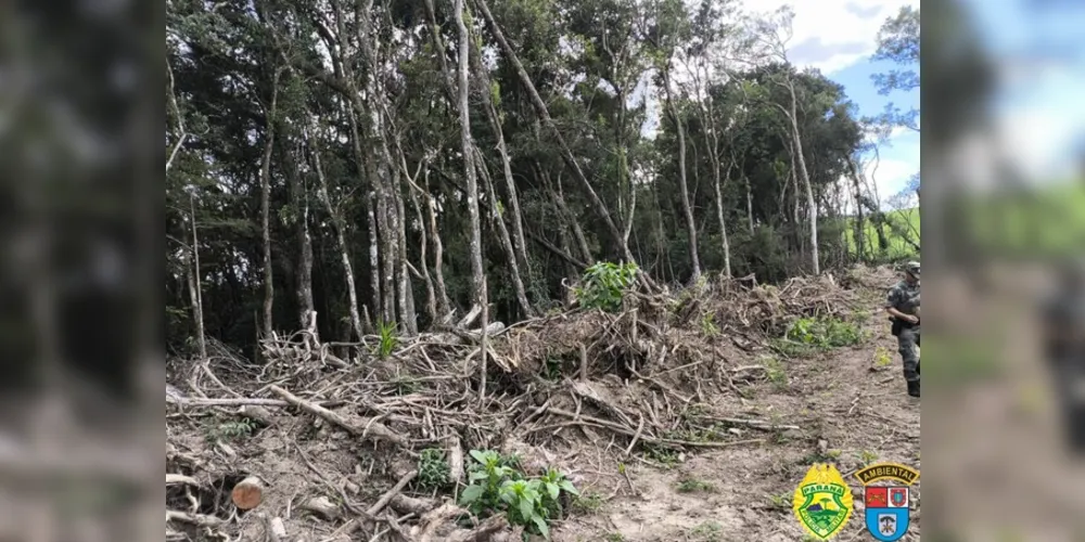 O proprietário não possuía autorização ambiental e foi autuado