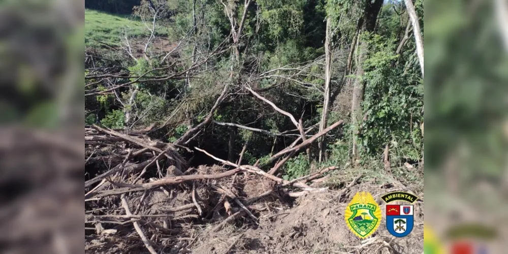 3,04 hectares de vegetação nativa foram cortados