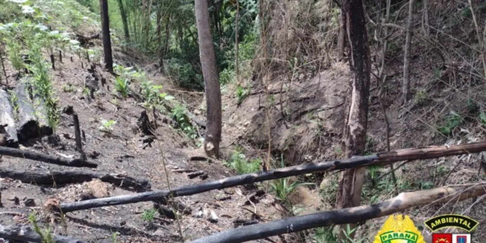 Os proprietários não tinham autorização ambiental.