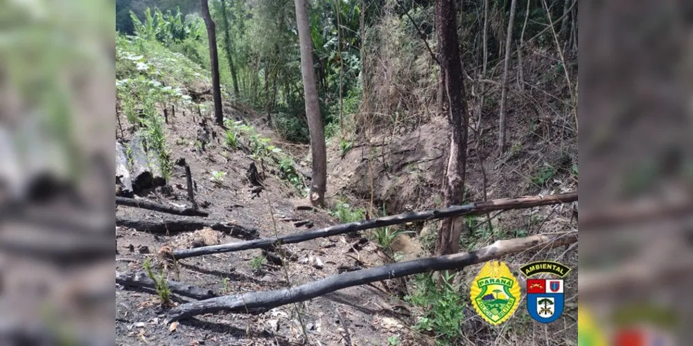 Os proprietários não tinham autorização ambiental.