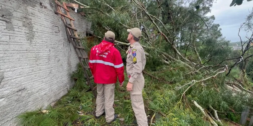 Os Bombeiros levaram lonas para a família cobrir os eletrodomésticos e realizaram a poda da árvore