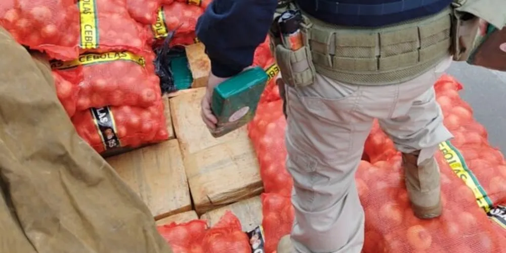 Droga estava sob uma carga de cebolas