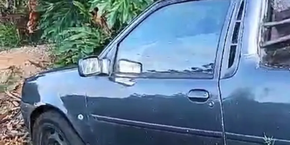 Imagem ilustrativa da imagem Moradores pedem ajuda para localizar dono de camionete em PG