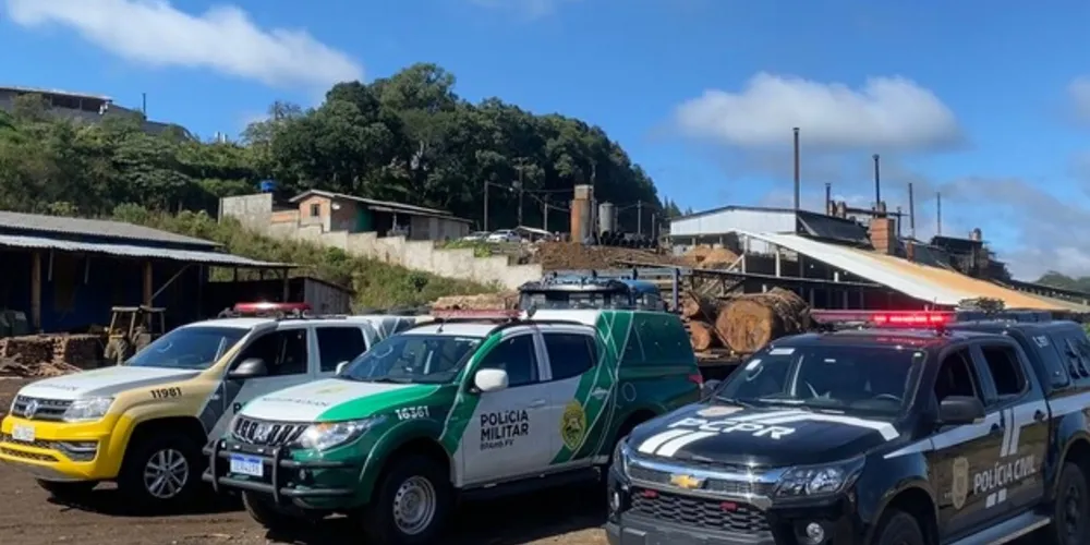 Operação conjunta foi realizada nesta terça-feira (9)