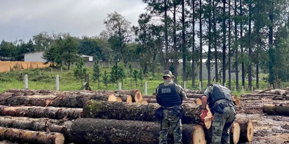 Operação conjunta contou com 82 policiais e fiscais da Receita Estadual