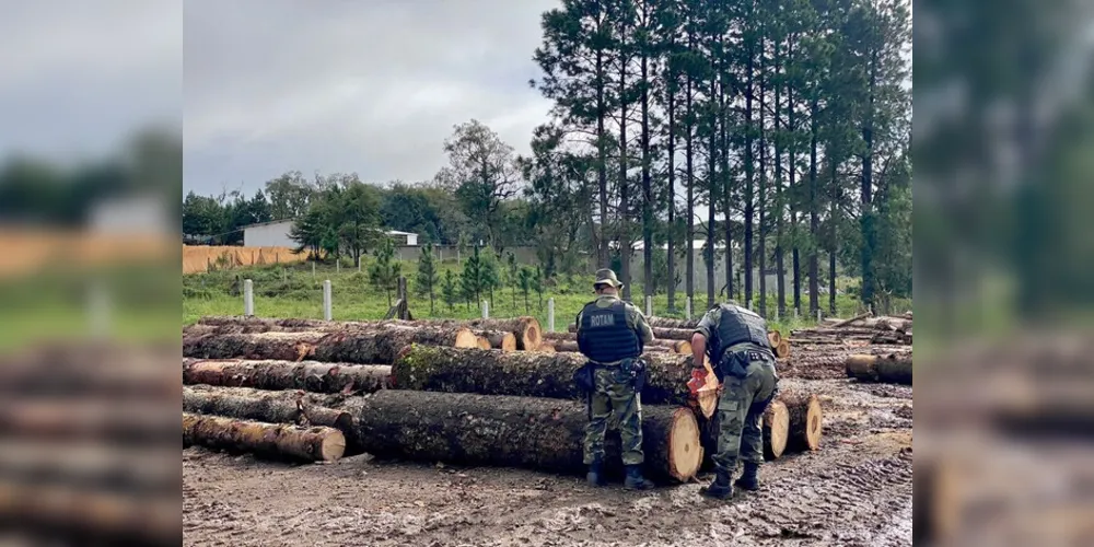 Operação conjunta contou com 82 policiais e fiscais da Receita Estadual