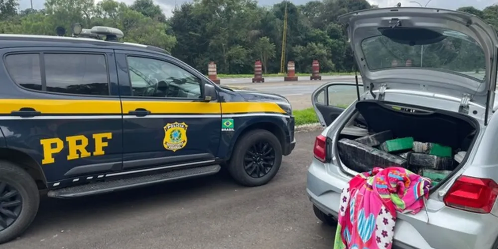 Apreensão aconteceu no quilômetro 245 da BR-277, em Irati