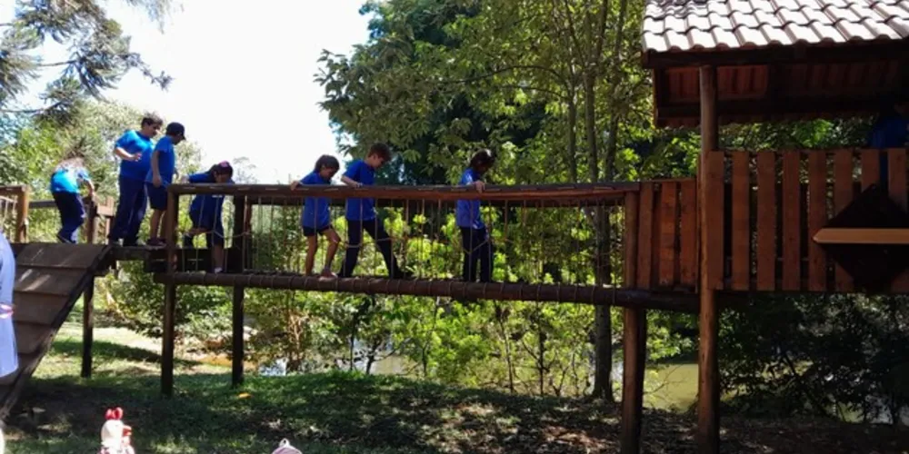 O local propiciou experiências novas aos alunos, como o contato com a natureza e diversos animais