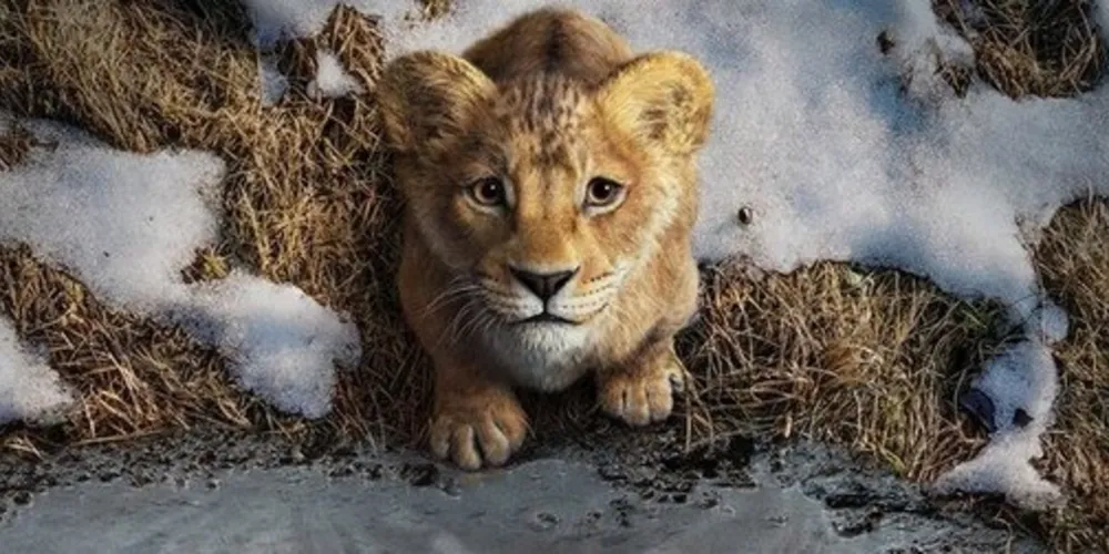 Filme servirá como prelúdio da história de Simba.