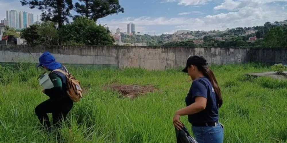 Foram encontrados 411 terrenos baldios