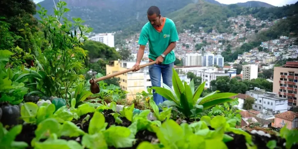 Uma das saídas apontadas pelos autores da pesquisa é estimular a rede de produção de alimentos saudáveis localmente