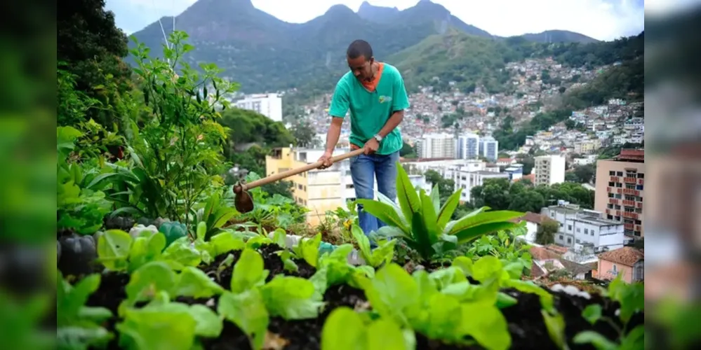 Uma das saídas apontadas pelos autores da pesquisa é estimular a rede de produção de alimentos saudáveis localmente