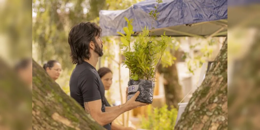 Imagem ilustrativa da imagem Arboriza PG distribui mais de 12 mil mudas e arrecada de alimentos