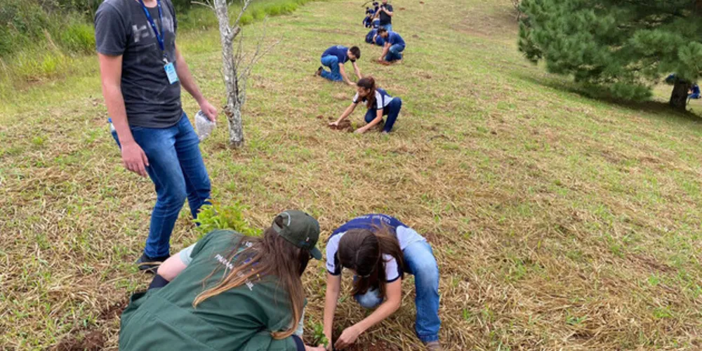As ações de conservação contaram com a recuperação de nascentes por meio da técnica solo-cimento, plantio de mudas de espécies nativas e a remoção de lixo