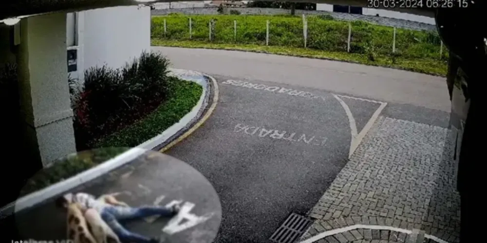 A imagem mostra a investida sofrida pelo trabalhador Bruno Cardozo e seu pet