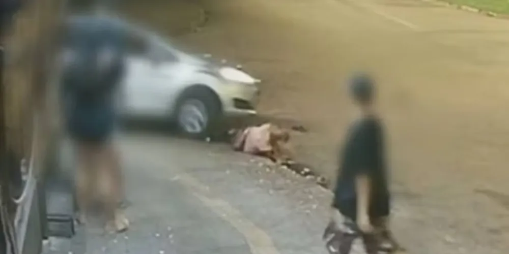 A mulher fraturou a bacia e está internada