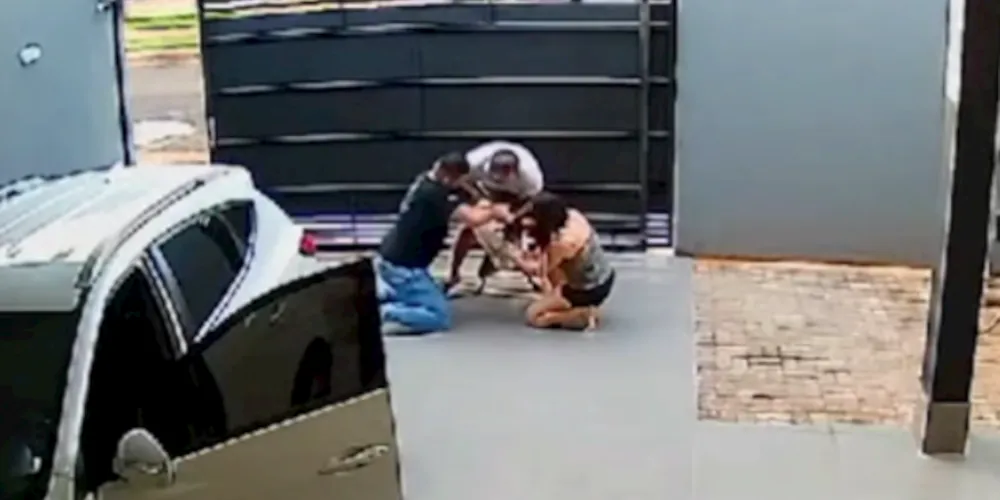 Os dois animais se enfrentaram e os donos, desesperados, tentaram separá-los