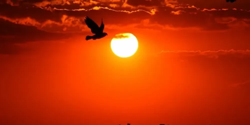 Litoral do Paraná registra sensação térmica de 60º; Estado está em alerta de calor extremo