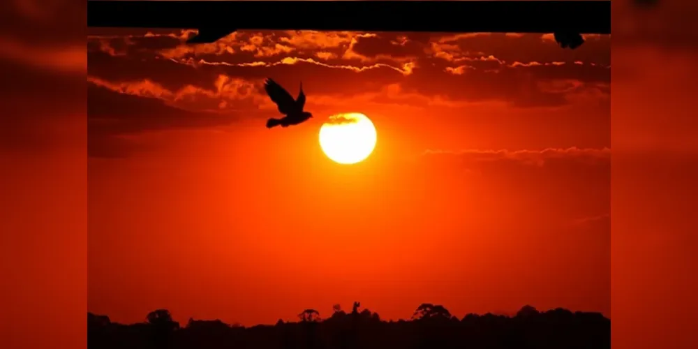 Litoral do Paraná registra sensação térmica de 60º; Estado está em alerta de calor extremo