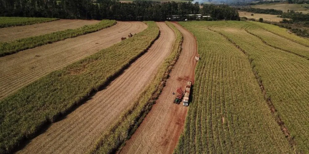 Paraná responde por produção de 1,25 bilhão de litros de etanol na safra atual