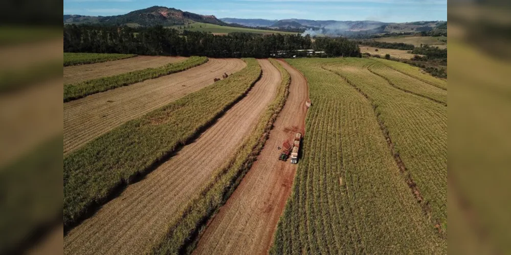 Paraná responde por produção de 1,25 bilhão de litros de etanol na safra atual