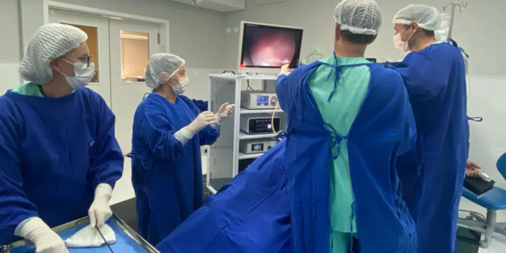 Plataforma da Celepar chega a 1.100 estabelecimentos de saúde cadastrados no Paraná