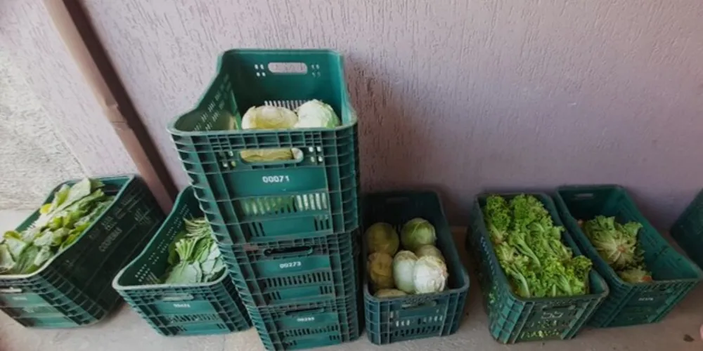 Os alimentos são oriundos de quatro cooperativas da região.
