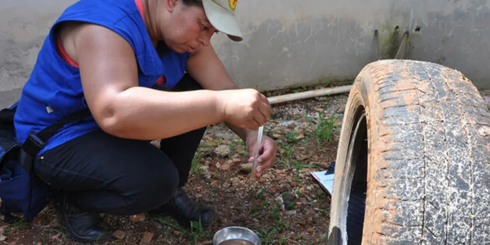 A Prefeitura de Ponta Grossa realiza diversas ações de combate ao mosquito Aedes aegypti