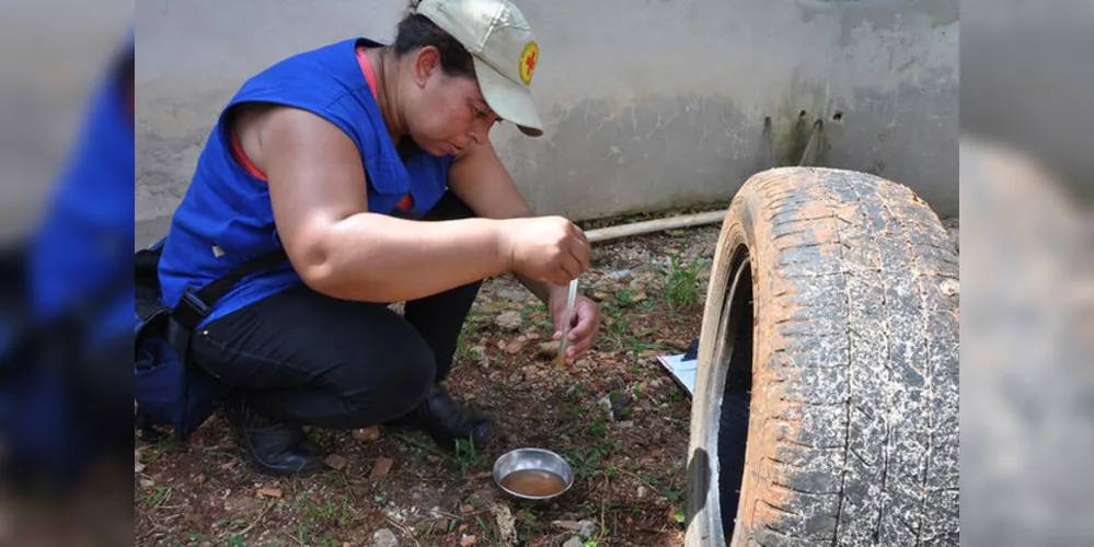 A Prefeitura de Ponta Grossa realiza diversas ações de combate ao mosquito Aedes aegypti