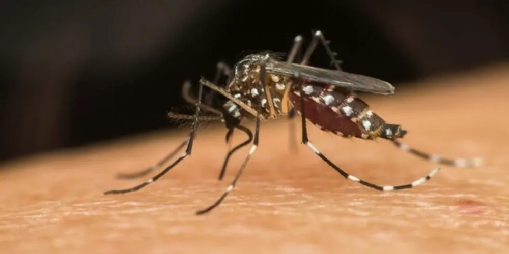 As confirmações aumentaram 53% em relação a último informe