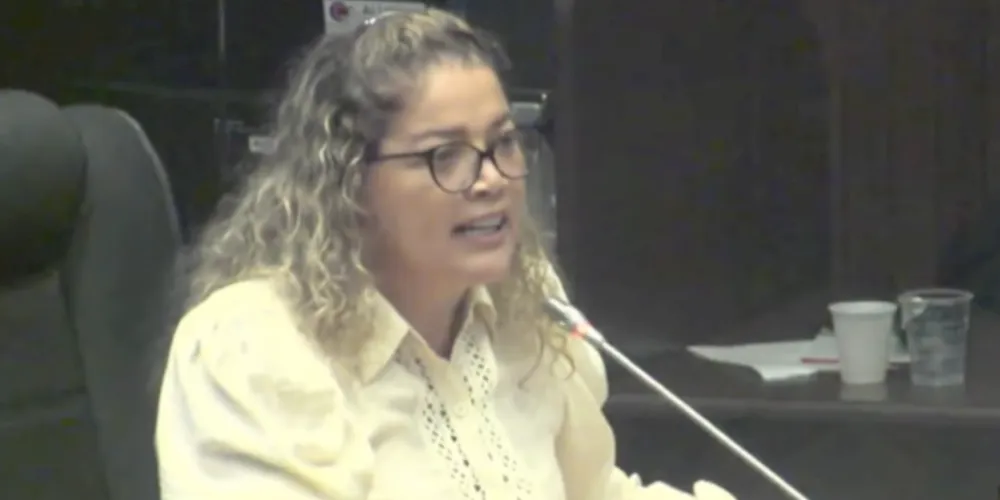 As declarações foram feitas enquanto ela defendia um requerimento de sua autoria