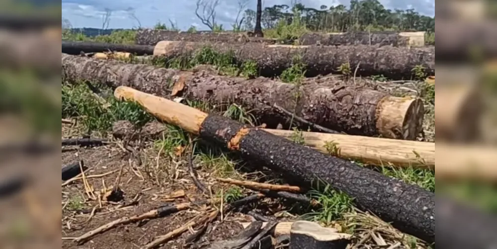 Desde o dia 19 de março, equipes do Batalhão de Polícia Ambiental estão realizando levantamentos de uma extensa área de desmatamento no município de Inácio Martins, nos Campos Gerais