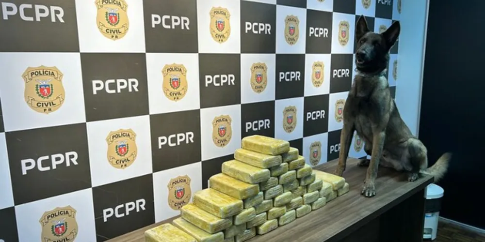 A ação contou com o apoio de cachorros do Núcleo de Operações com cães da PCPR