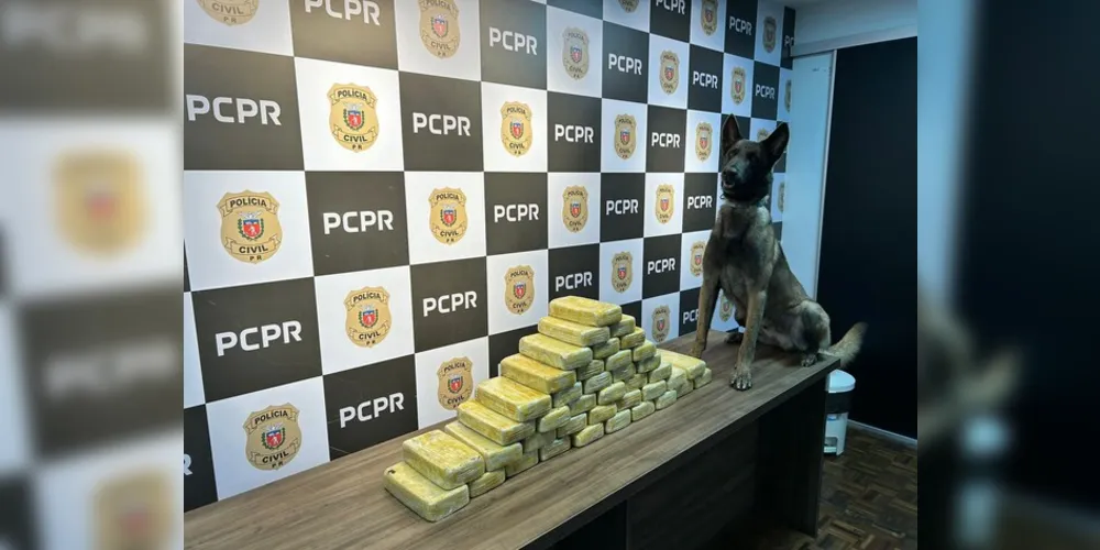 A ação contou com o apoio de cachorros do Núcleo de Operações com cães da PCPR