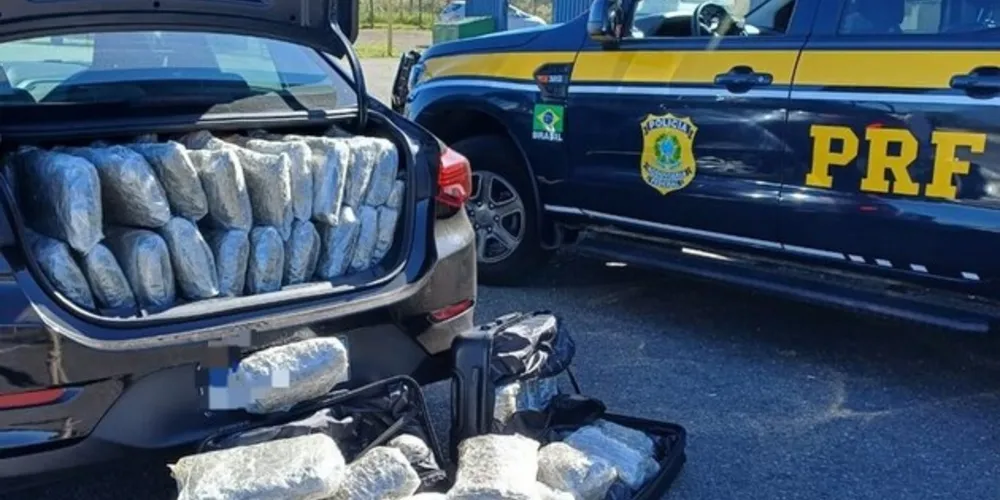PRF apreende 280 kg de maconha “especial” no Paraná