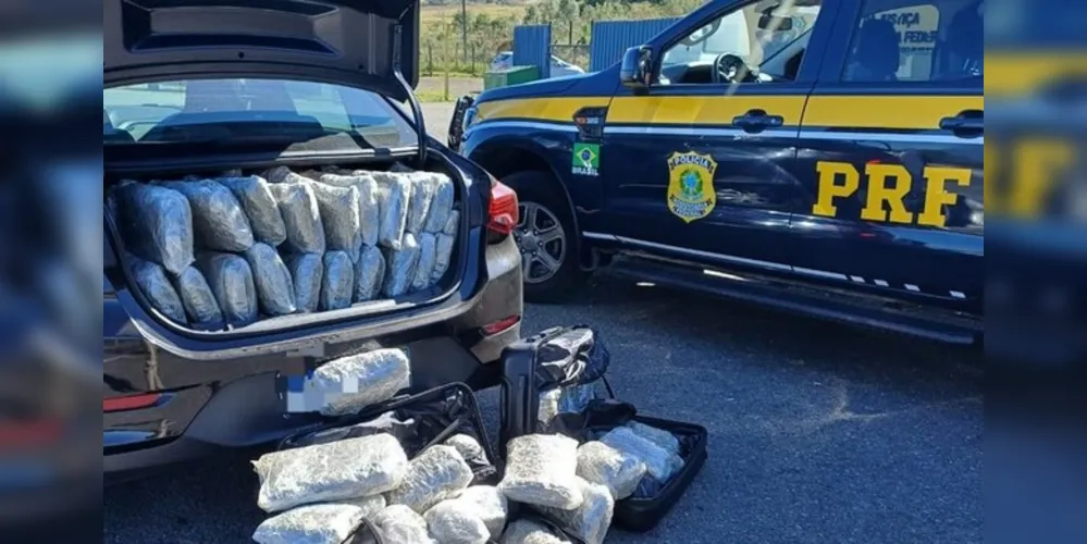 PRF apreende 280 kg de maconha “especial” no Paraná