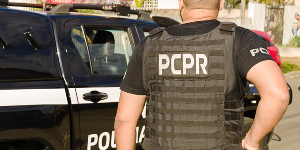 O indivíduo foi encaminhado ao sistema penitenciário