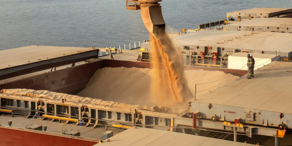 Entre os produtos mais exportados pelas empresas de PG estão a soja e derivados