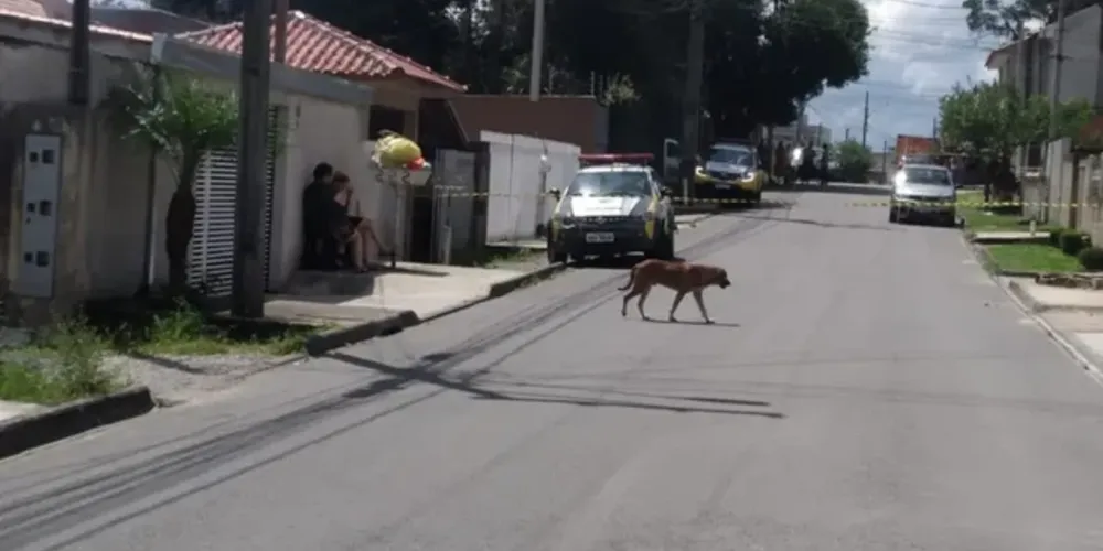 A irmã do agressor procurou o Batalhão da PM em busca de socorro ao encontrar a mãe esfaqueada