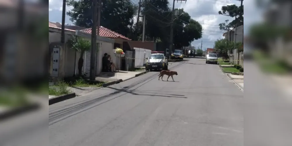 A irmã do agressor procurou o Batalhão da PM em busca de socorro ao encontrar a mãe esfaqueada