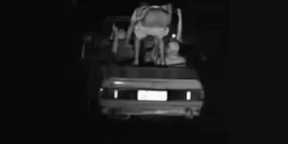 O veículo, um Volkswagen Apolo, trafegava a 80 km/h em uma área onde o limite permitido é de 70 km/h