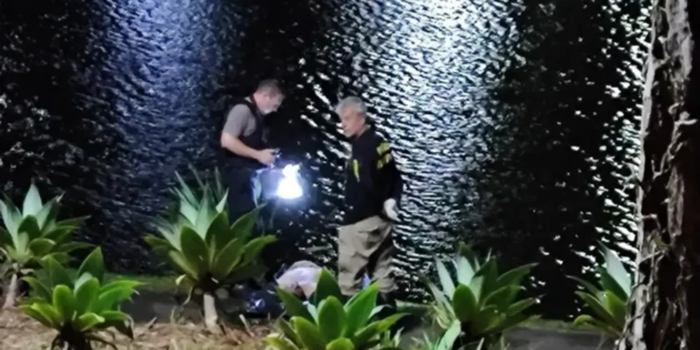 Minutos após pular no lago, ele teria tido câimbras e submergido